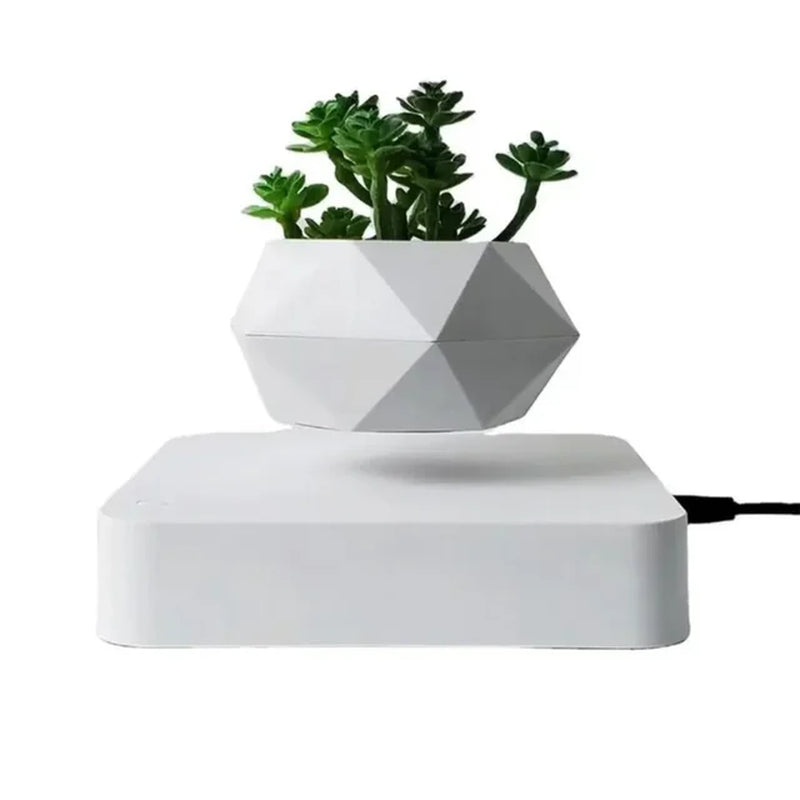 Levitating Air Bonsai Pot: Bring Magic Inside!